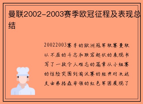 曼联2002-2003赛季欧冠征程及表现总结
